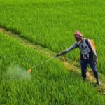 “7 Government Steps to Save Kharif Crops From El Nino